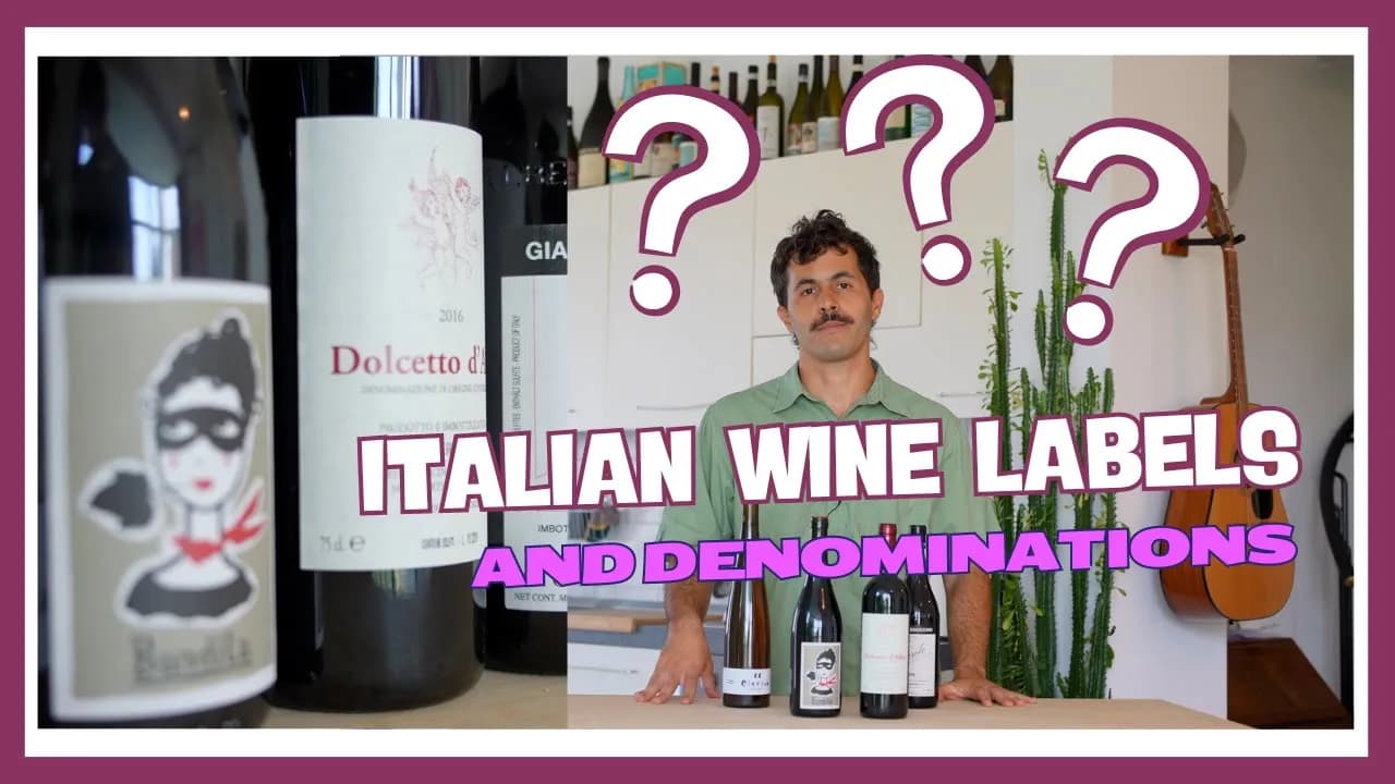 DOCG VS DOC Explained: Italian wine classification