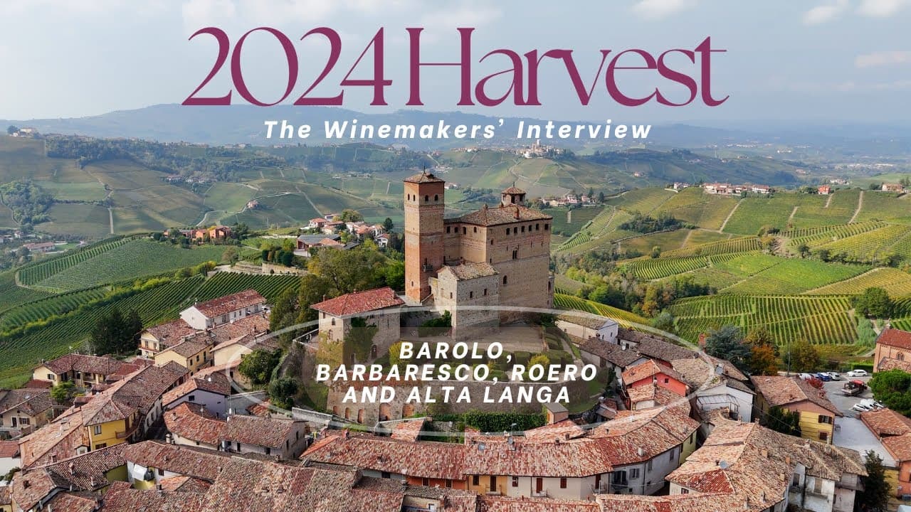 2024 Piemonte Wine Harvest